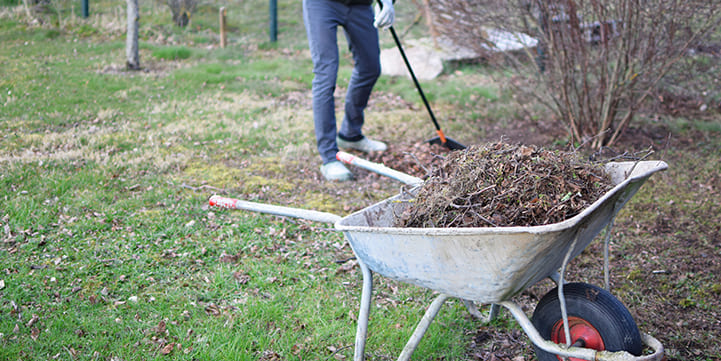 trusted spring cleanup contractor in Salem OR