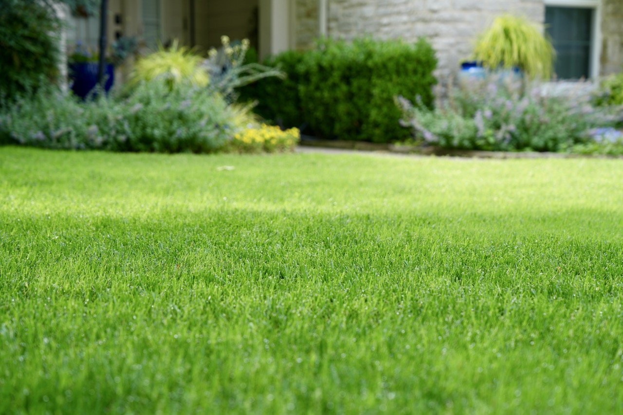 landscaper in east salem